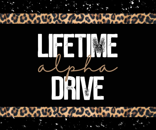 LIFETIME ALPHA DRIVE - ALPHA SETS ONLY! - READ ALL INFO BEFORE YOU BUY!! NO REFUNDS BECAUSE YOU DIDNT READ!